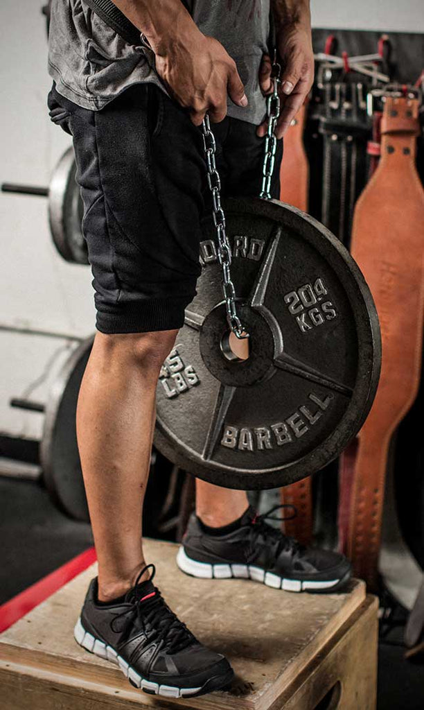 Harbinger dip belt hot sale