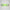 Speedo Adult Biofuse 2.0 Goggles - Green/Grey