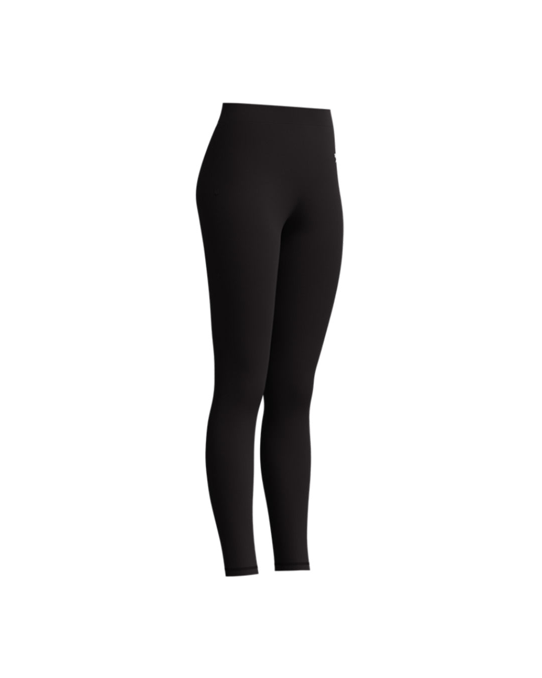 Speedo Women's Endurance+ Modesty Swim Legging - Black