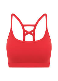 Lorna Jane Seline All Day Support Sports Bra - Ginger