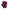 Harbinger WOMEN'S PRO GLOVES - Black/Pink