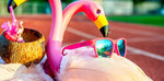 Goodr - Flamingos on a Booze Cruise